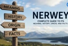 Nerwey
