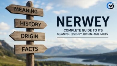 Nerwey