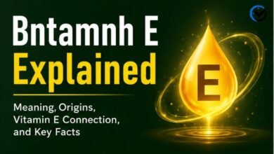 Bntamnh E