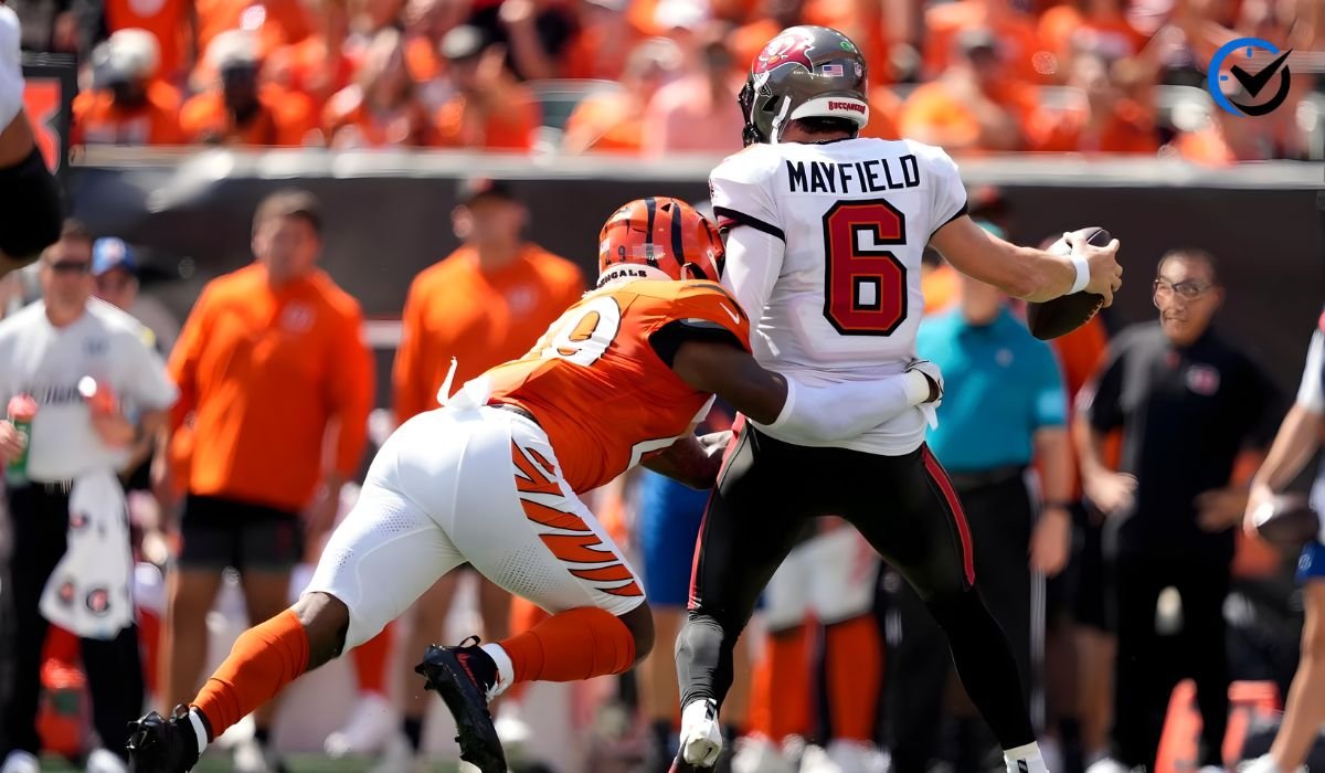Tampa Bay Buccaneers vs Cincinnati Bengals Match Player Stats