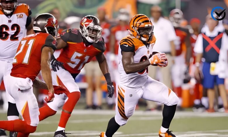 Tampa Bay Buccaneers vs Cincinnati Bengals Match Player Stats