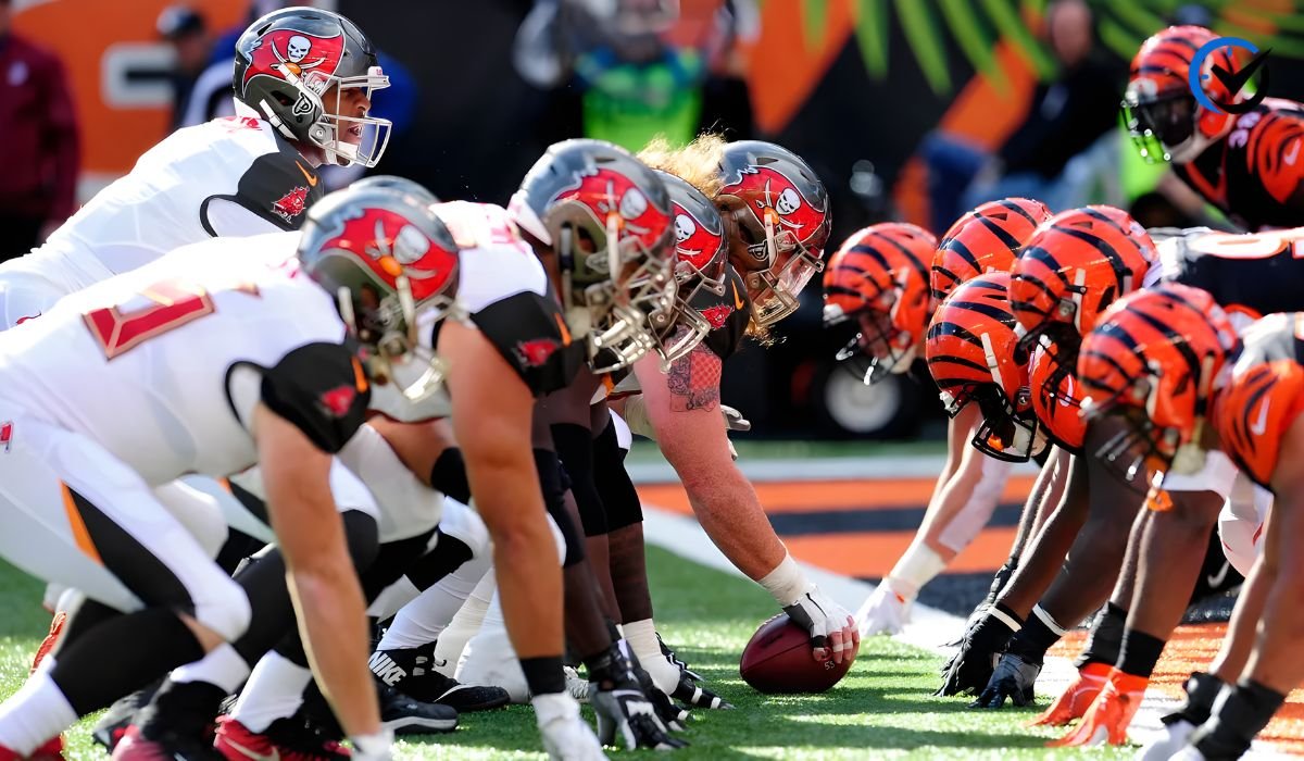 Tampa Bay Buccaneers vs Cincinnati Bengals Match Player Stats