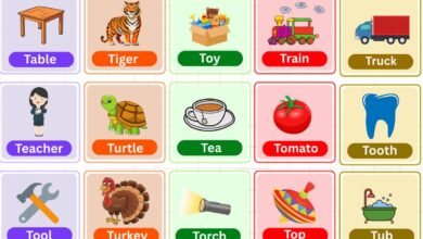 Things That Start With T