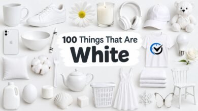 100 Things That Are White