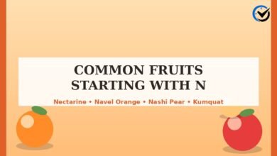 25 Fruits Starting with N