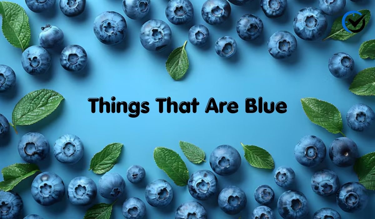 Things That Are Blue