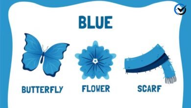 Things That Are Blue