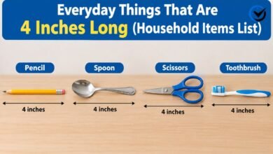 Everyday Things That Are 4 Inches Long
