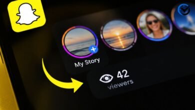 Snapchat Story Viewer