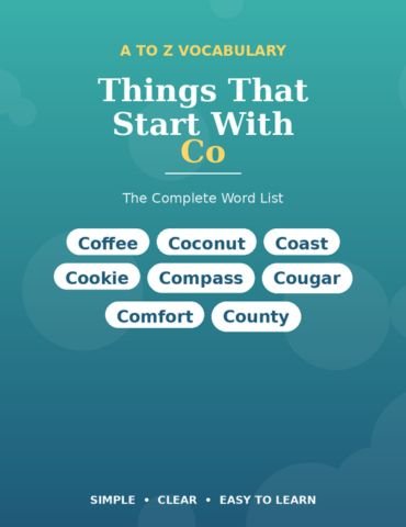 Things That Start With Co