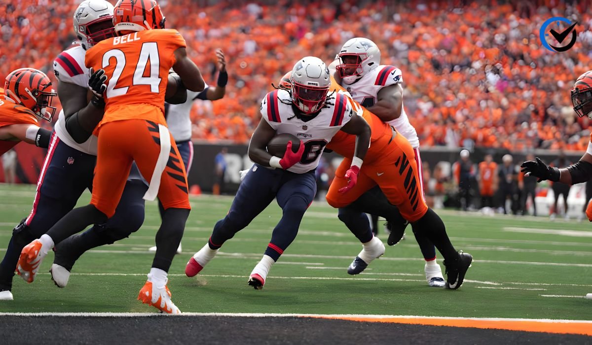 New England Patriots vs Bengals Match Player Stats
