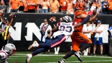 New England Patriots vs Bengals Match Player Stats