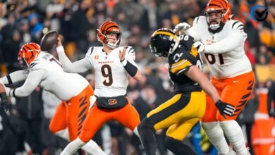 Pittsburgh Steelers vs Bengals Match Player Stats