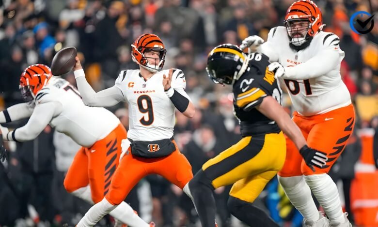 Pittsburgh Steelers vs Bengals Match Player Stats