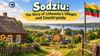 Sodziu