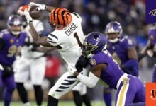 Baltimore Ravens vs Bengals Match Player Stats