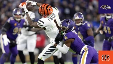 Baltimore Ravens vs Bengals Match Player Stats