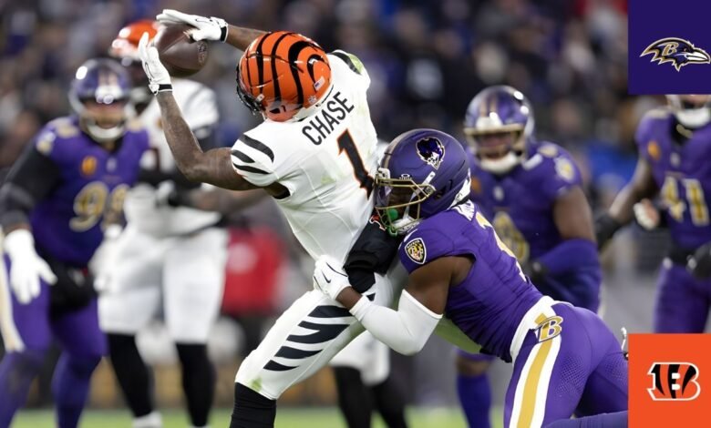 Baltimore Ravens vs Bengals Match Player Stats