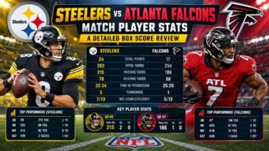 Steelers vs Atlanta Falcons Match Player Stats